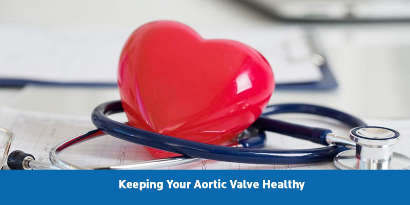 Aortic-Valve-Healthy